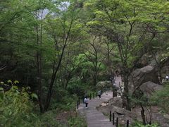 -王顺山国家森林公园