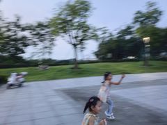 -王借岗森林公园