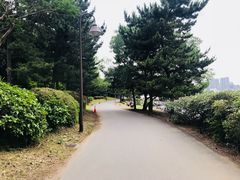 -台场海滨公园船码头