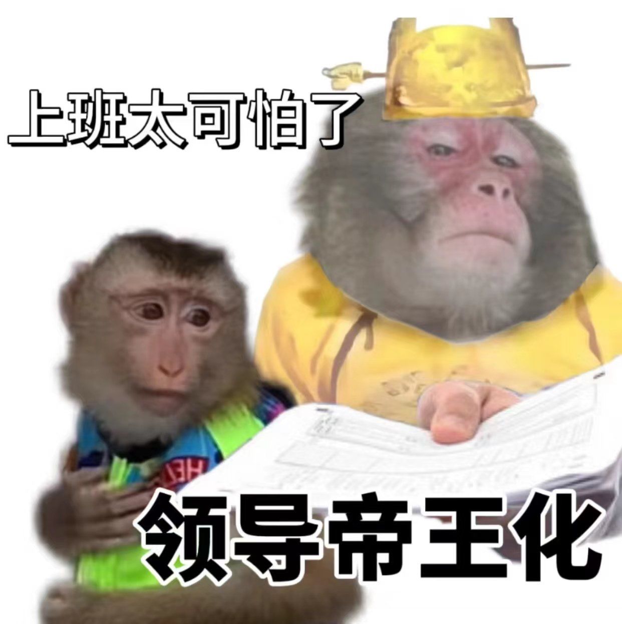 太可怕喽!感觉上班如上朝