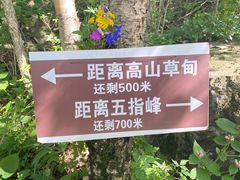 -野三坡百草畔景区