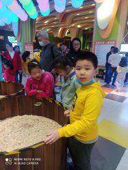 -宝燕乐园(闵行旗舰店)