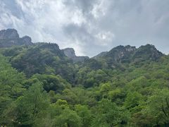 -青峰峡国家森林公园