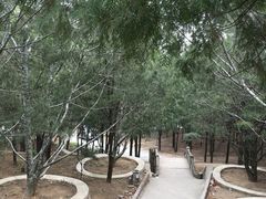 -北京鹫峰国家森林公园