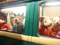 -济州岛泰迪熊博物馆