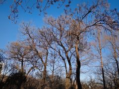 -山东大学(趵突泉校区)