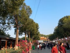 -仙岳公园