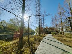 -元大都城垣遗址公园