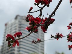 -东风公园