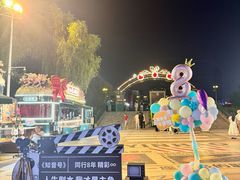 -武汉知音号