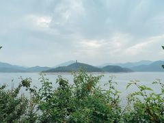 -望湖烤鱼