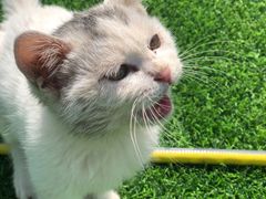 -亲兄弟真人CS团建拓展基地