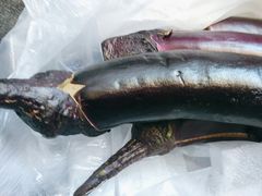 -新隆嘉供销超市(青岛瑞昌路店)