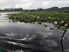 -上海海湾国家森林公园