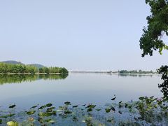 -东湖落雁景区
