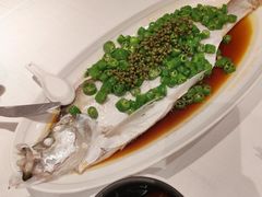 -老吉士酒家(天平路店)