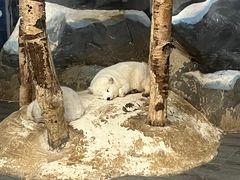 -南京海底世界