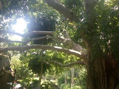 -厦门国家会计学院