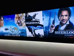 -华美国际影城(旧宫永辉店)