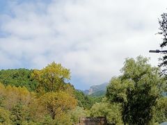 -王顺山国家森林公园