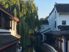 -苏妃奶酪(平江路店)