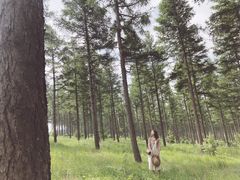 -塞罕坝国家级自然保护区