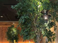 -同仁四季椰子鸡(无锡滨湖万象汇店)