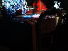 -武汉知音号