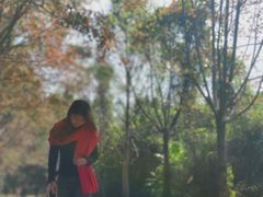 -田野绿世界