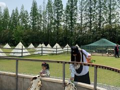 -前小桔亲子创意农场·草莓采摘·露营烧烤