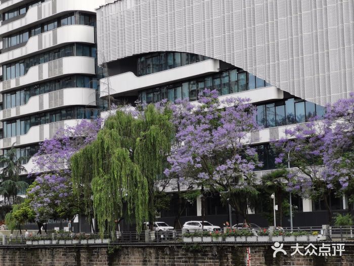 成都市活水公园图片