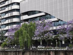 -成都市活水公园