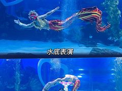 -顺德南宏海立方海洋公园