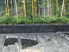-外滩悦榕庄·海怡西餐厅
