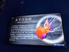 -太平洋海底世界