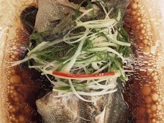 -锦粤宫·精致粤菜(深圳北站店)