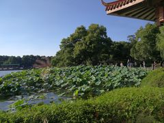 -湖畔居茶楼(湖滨店)