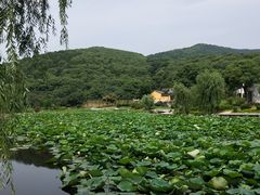 -龙寺生态园