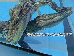 -哈尔滨极地公园