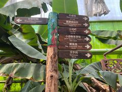 -呀路古热带植物园