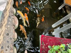 -上海大自然野生昆虫馆(东方明珠·爬宠昆虫探索中心)