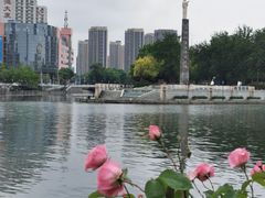 -海河游船-永乐码头(大悲院)