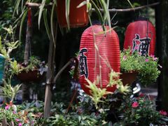 -国生茶庄·地道农家菜团建活动