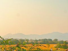 -良渚古城遗址公园