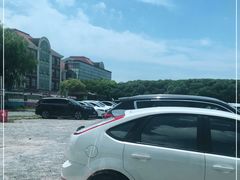 -奉贤海滩