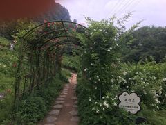 -綦江古剑山