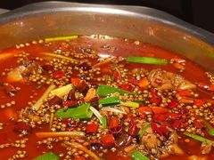 -宽口美蛙鱼头(大唐西市店)