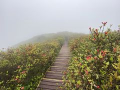-大围山国家森林公园