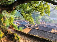 -杨家堂村