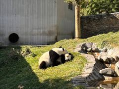 -卧龙自然保护区